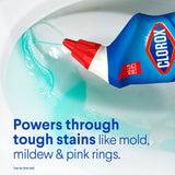 Clorox Toilet Bowl Cleaner with Bleach, Rain Clean (6 pack)