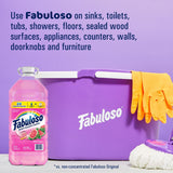 Multi-Purpose Cleaner in Kenya - Fabuloso 2X Concentrated, 6.2 Litres