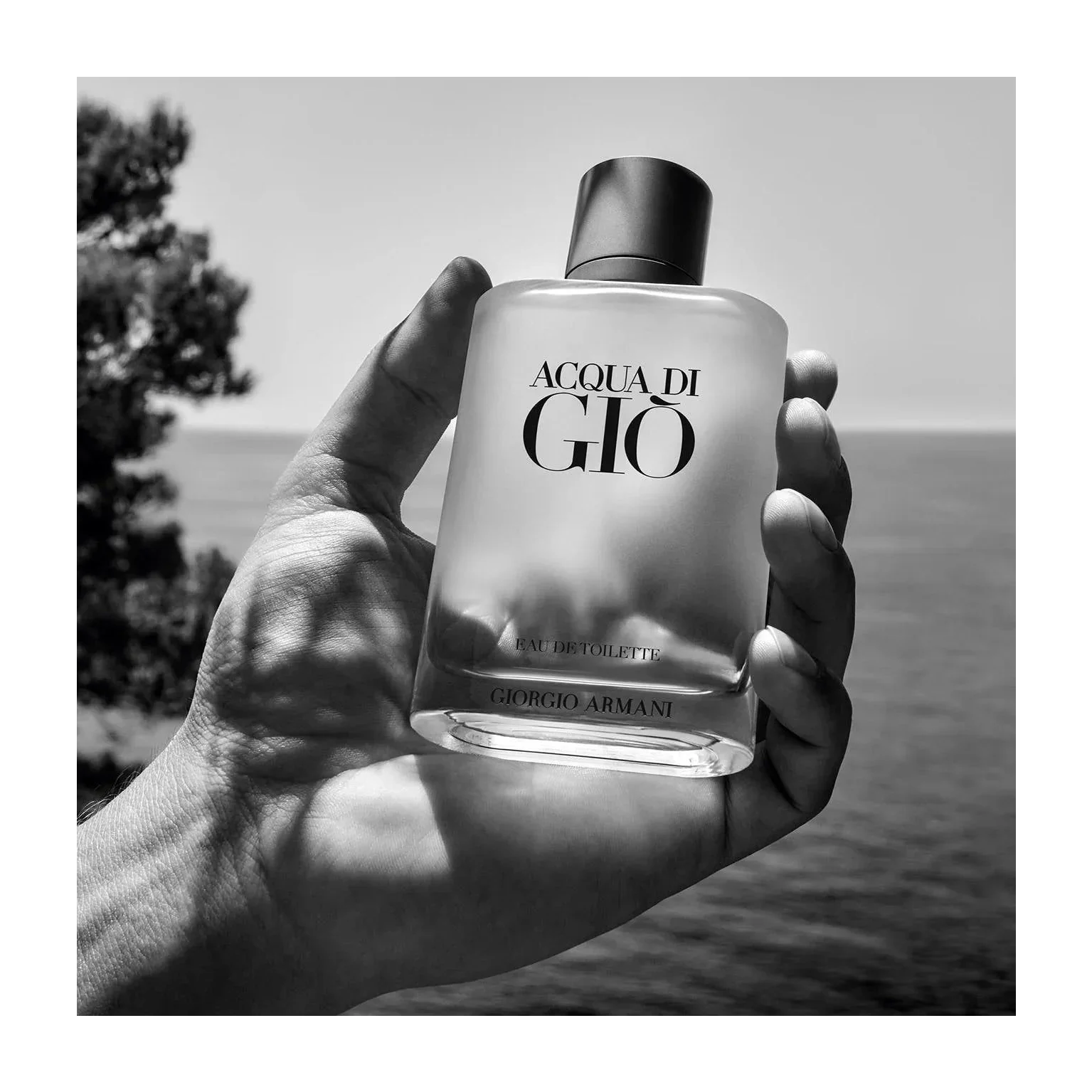 Giorgio Armani Acqua di Gio Eau de Toilette in Kenya - 100ml