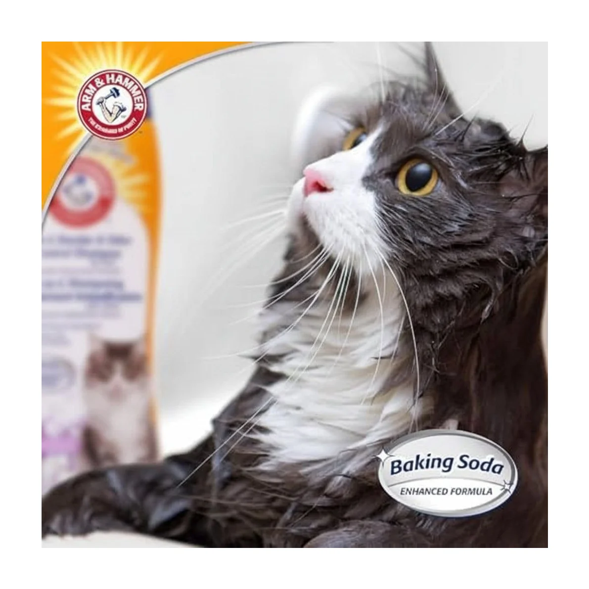 Arm & Hammer 2-in-1 Deodorizing & Dander Reducing Cat Shampoo (2-Pack)