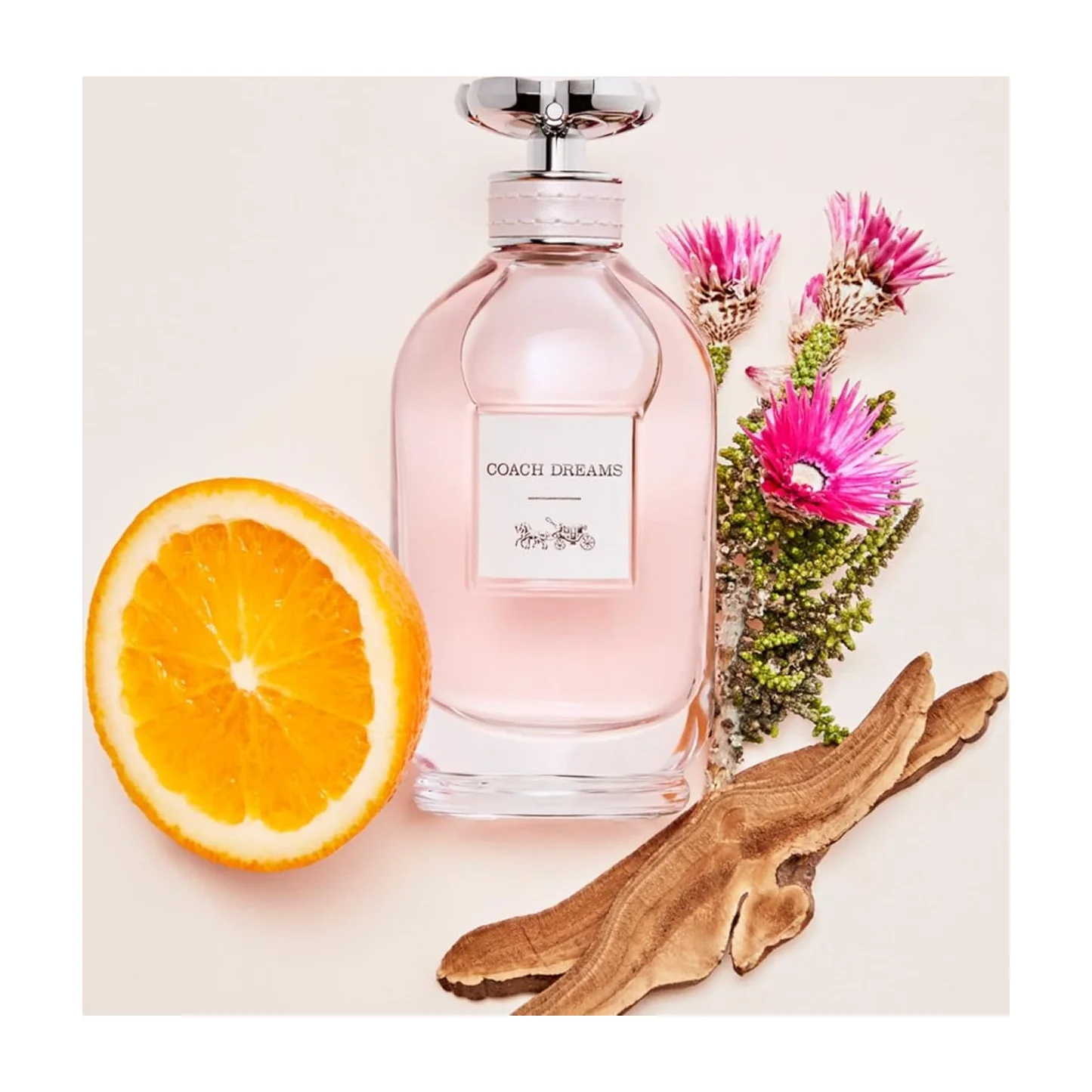 Coach Dreams Eau de Parfum for Women