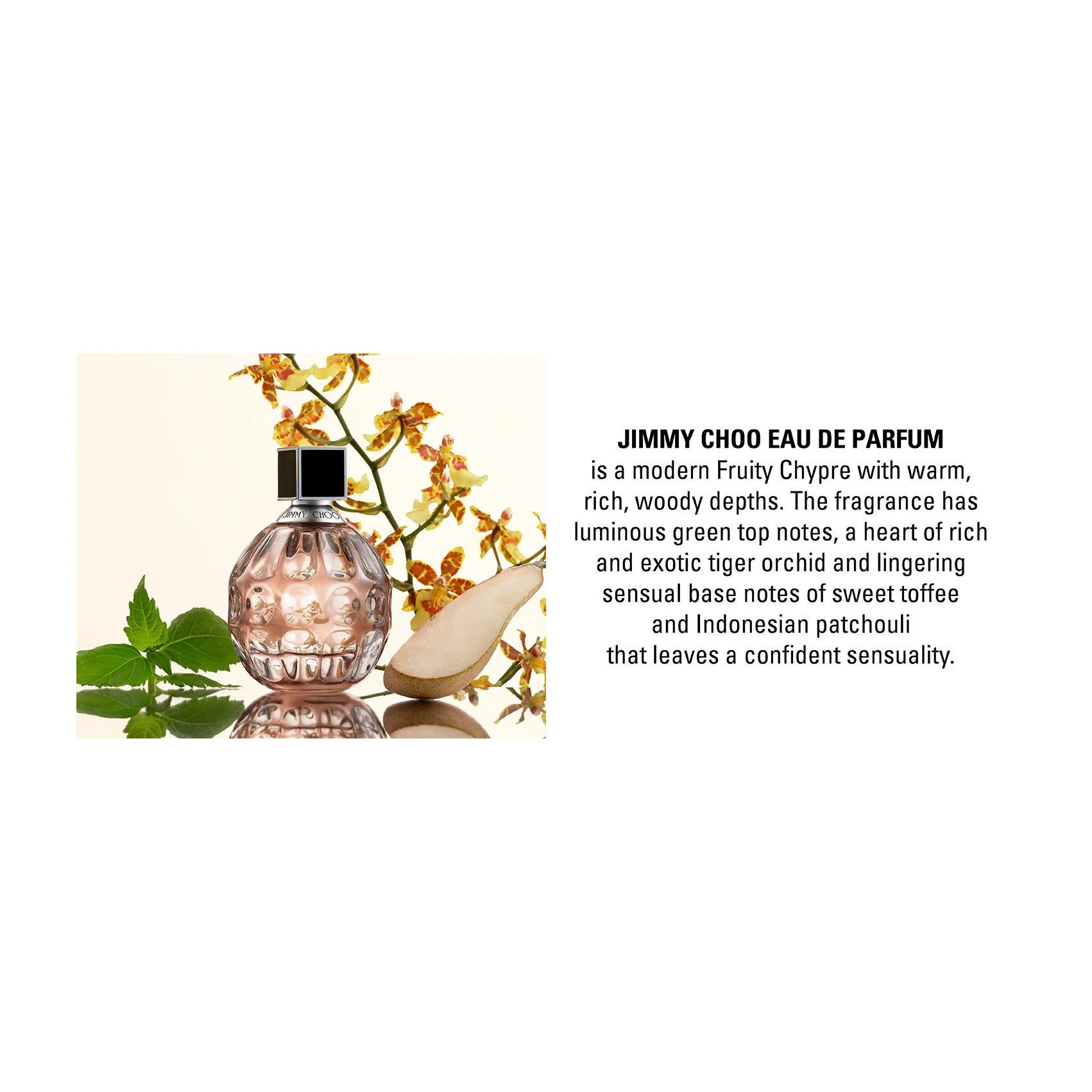 Jimmy Choo Eau de Parfum