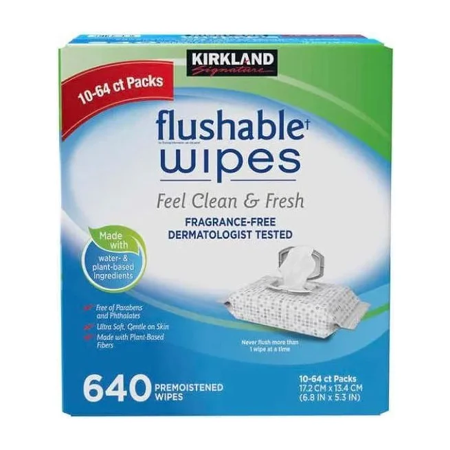 Kirkland Signature Flushable Wipes, Fragrance Free, 640 Count