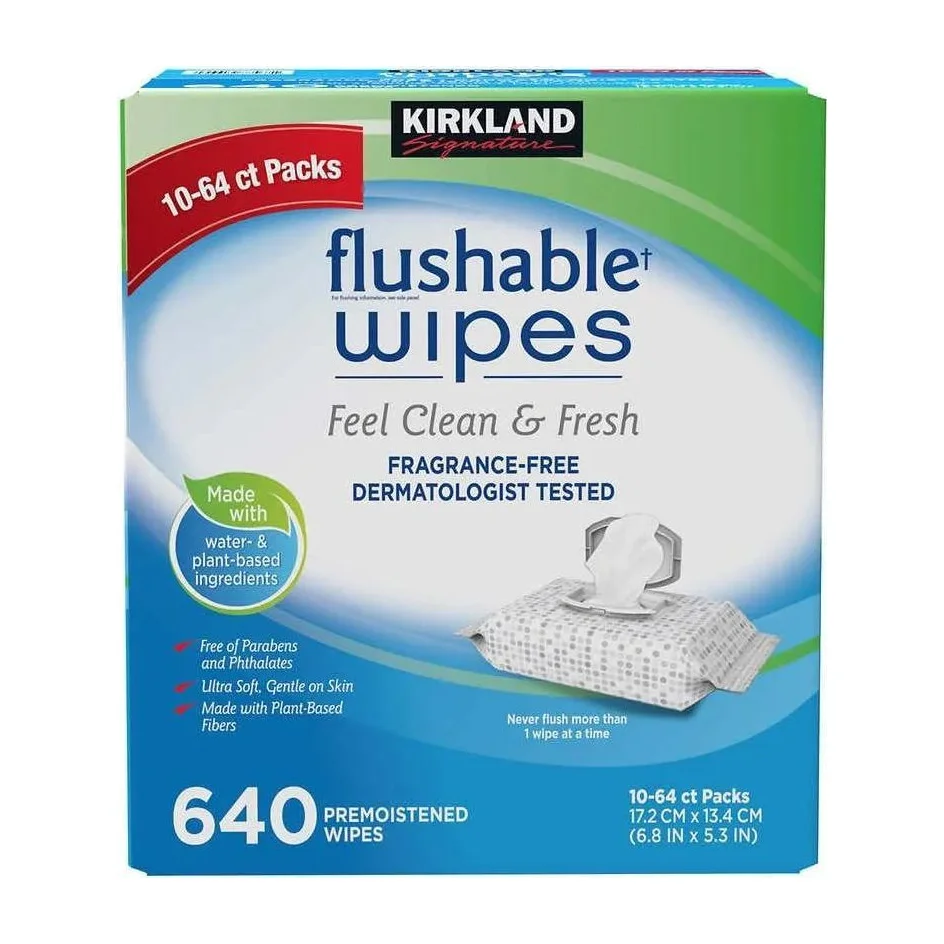 Kirkland Signature Flushable Wipes, Fragrance Free, 640 Count