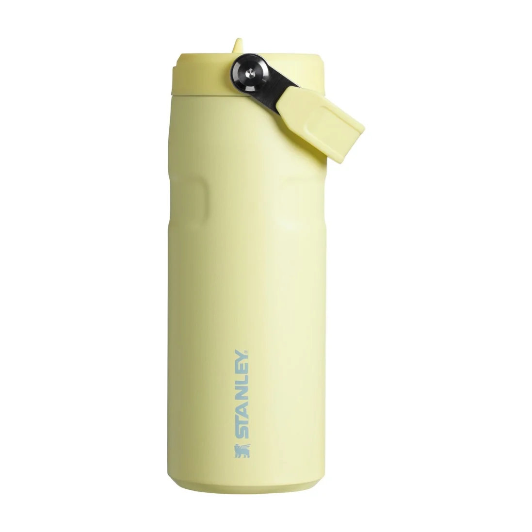 Water Bottle in Kenya - Stanley IceFlow Flip Straw, 24 oz