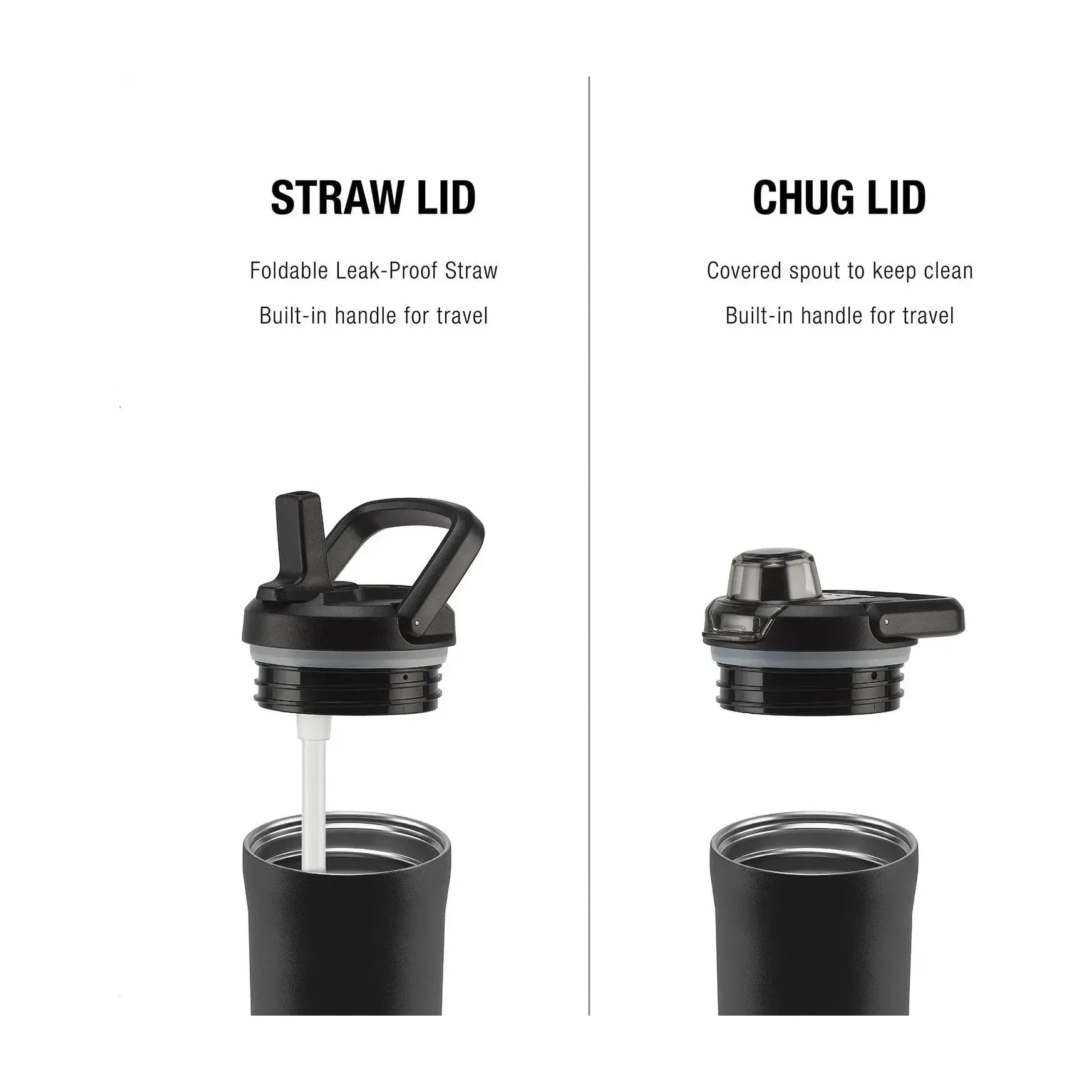 Zulu Base Stainless Steel Water Bottle  (2 Pack)